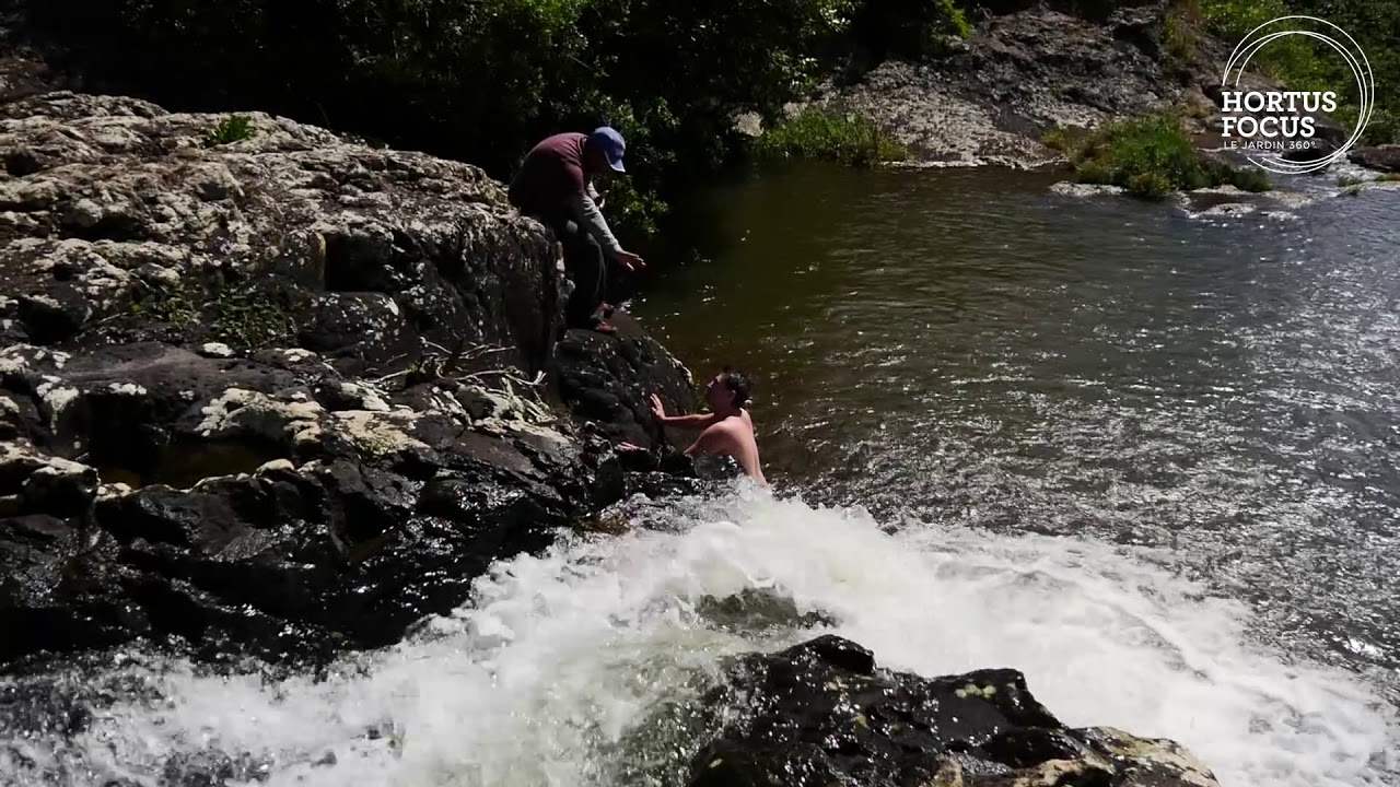 Découverte des 7 cascades de l'ile Maurice
