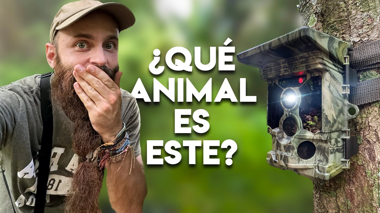 ESCONDÍ 4 CÁMARAS en mi casa y pillé algo INESPERADO 😱