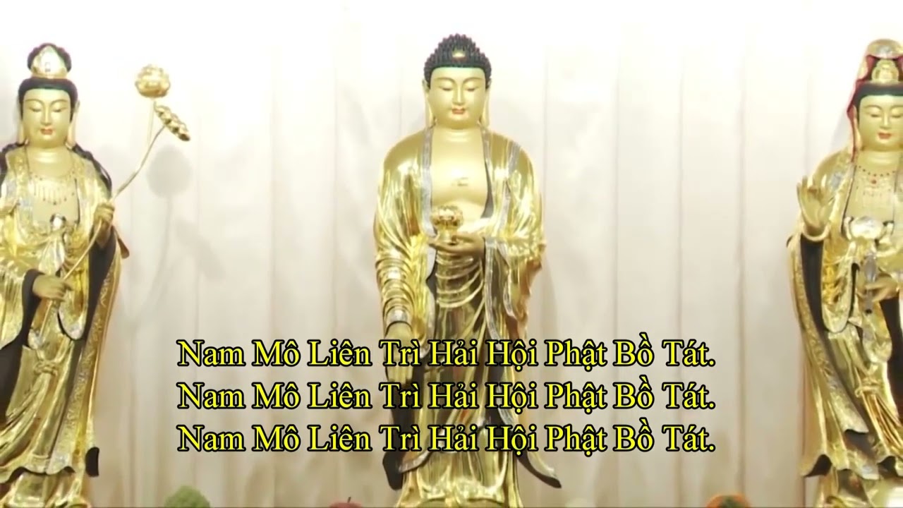 [Tịnh Tông Học Hội]:  Cộng Tu Niệm Phật Tịnh Tông -  Sáng || Đồ Thư Quán
