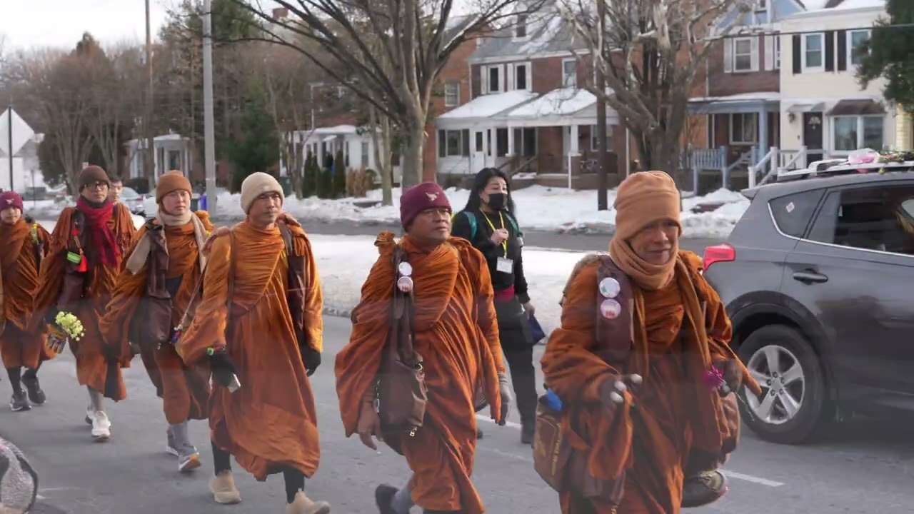 Canadian Cobra Chickens and Peaceful Monks.