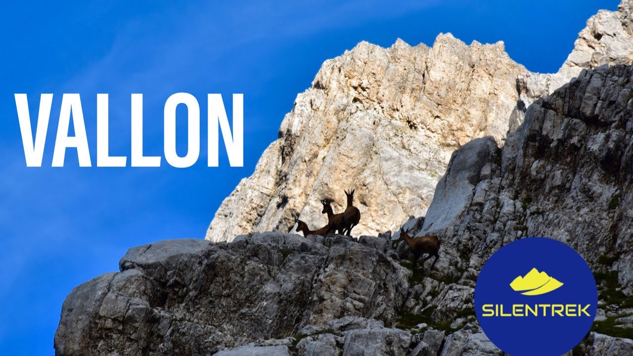VALLON [4K] - Brenta Selvaggio