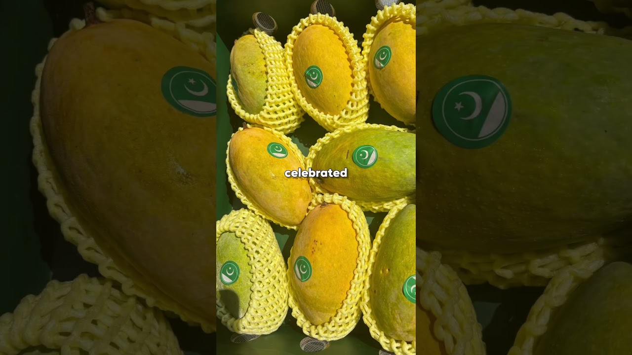 Манговая дипломатия 🥭🤝 #новости #пакистан #политика #правительство