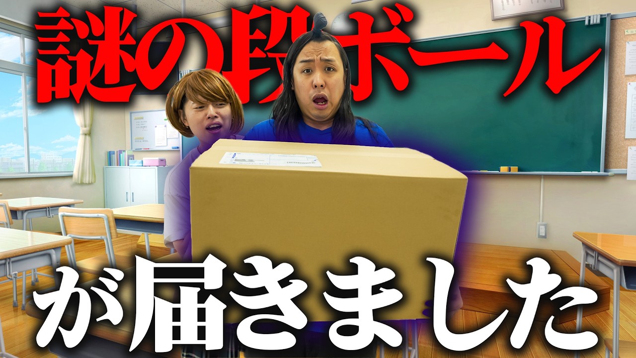 謎のダンボールが送られてきた小学生