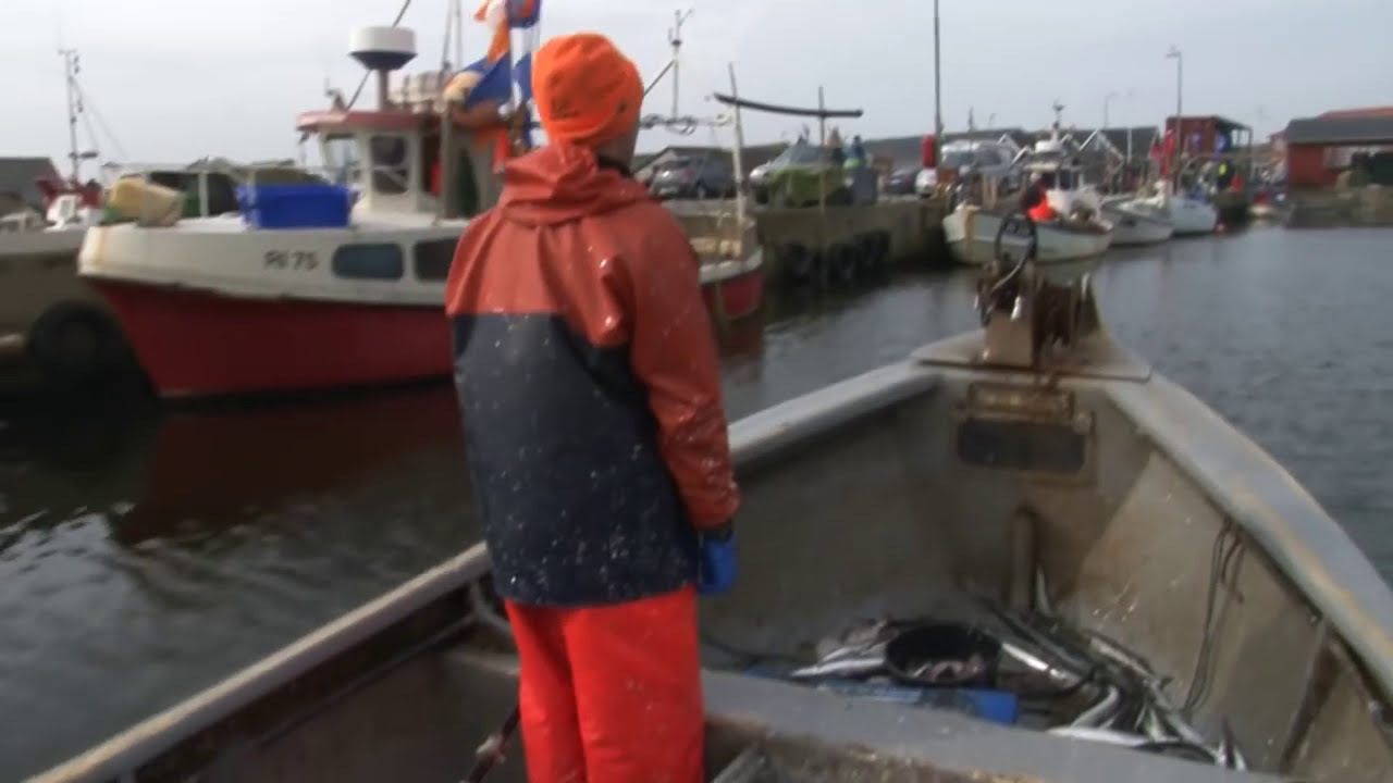 SYLT1 - Unterwegs in Dänemark - Heringsfestival in Hvide Sande