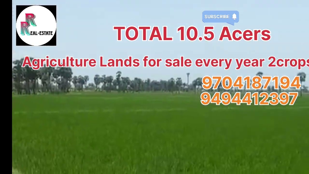 Agriculture Lands for sale #nellore #agriculture