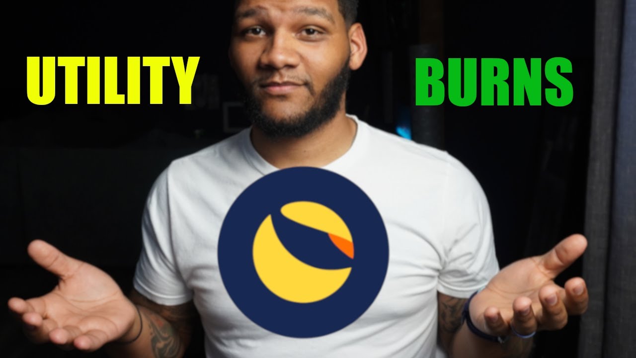 #LUNC Burn Are Just As (if not more) Important Than Utility.....Change My Mind!!!