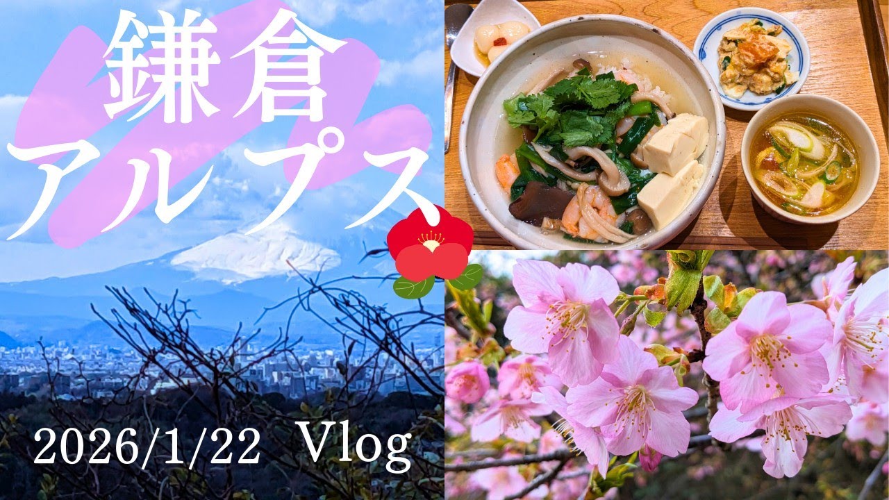 【鎌倉アルプス】グルメと春を告げる花/瑞泉寺〜建長寺コース/2026.1.22