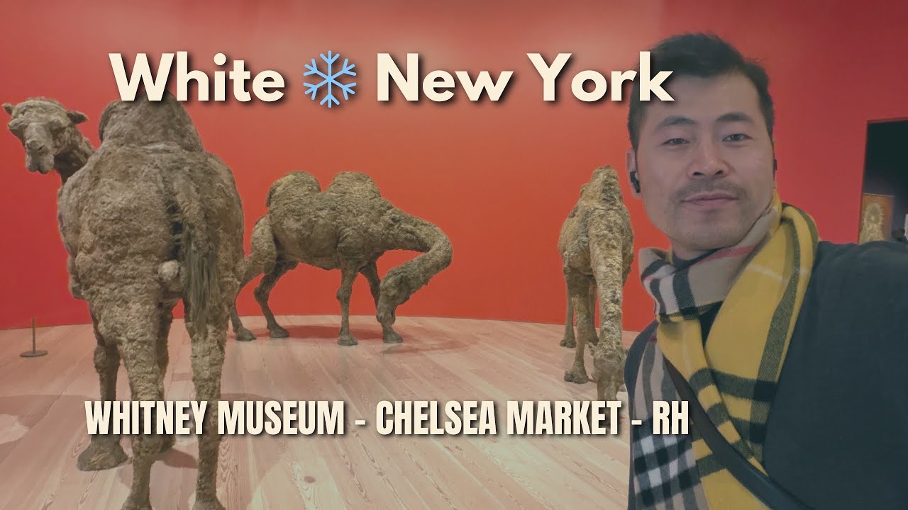 Видеоблог White ❄️ NY: рынок Челси, музей Уитни и многое другое #ньюйорк #снег #искусство #мебель ❤️