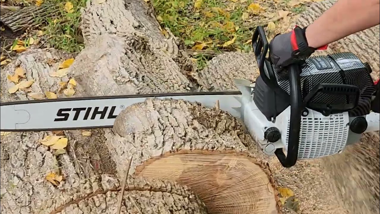 Holzfforma G660 Pro Hardwood