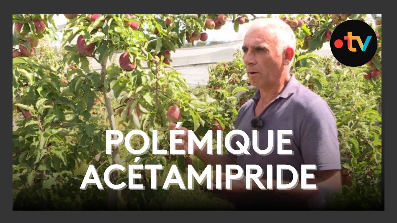 Sans ac&eacute;tamipride, les vergers de G&acirc;tine d&eacute;truits par les pucerons