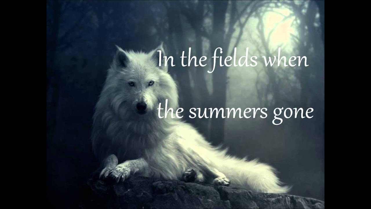 Celtic Woman - The Voice Lyrics