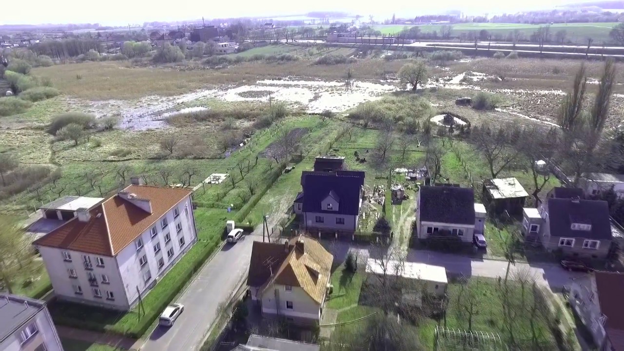mieszkowice i okoloice