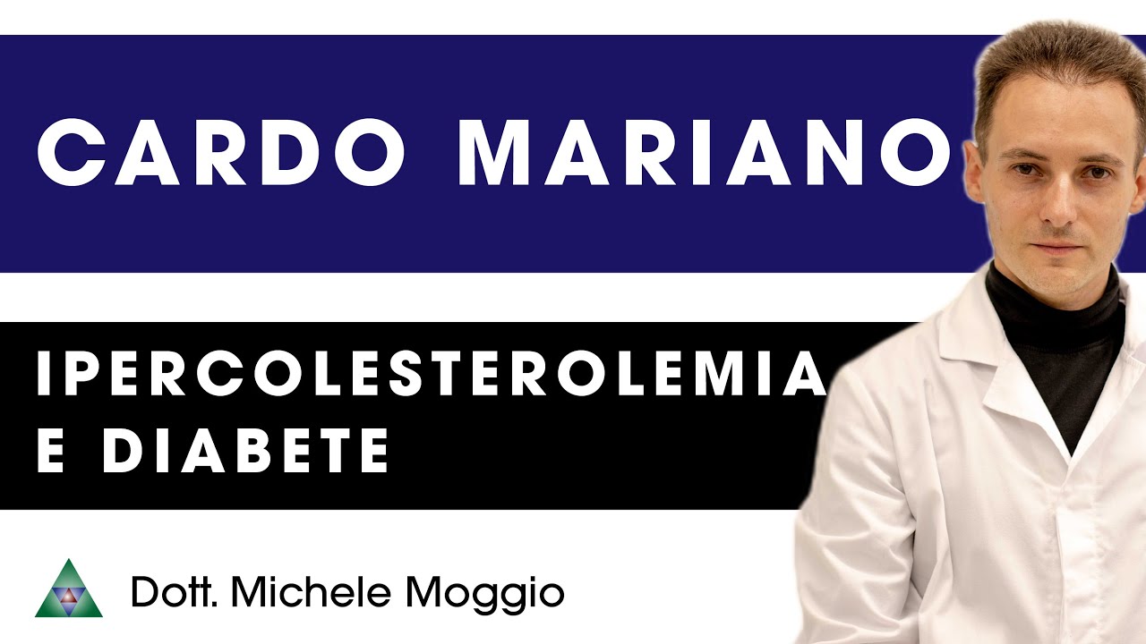CARDO MARIANO PER IL COLESTEROLO E LA GLICEMIA