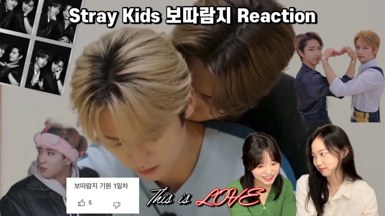 아미와 시즈니의 스키즈(Stray Kids) 보따람지 리액션 | 혹시 너네 사궈..? 쟤네 사궈👨‍👦 | 한지성이 이르케 귀여웠던가 | Reaction to Stray Kids