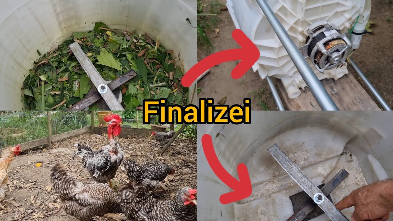 Minhas criação de galinhas carijo/ Triturador aprimorado. #video #façavocêmesmo #canal