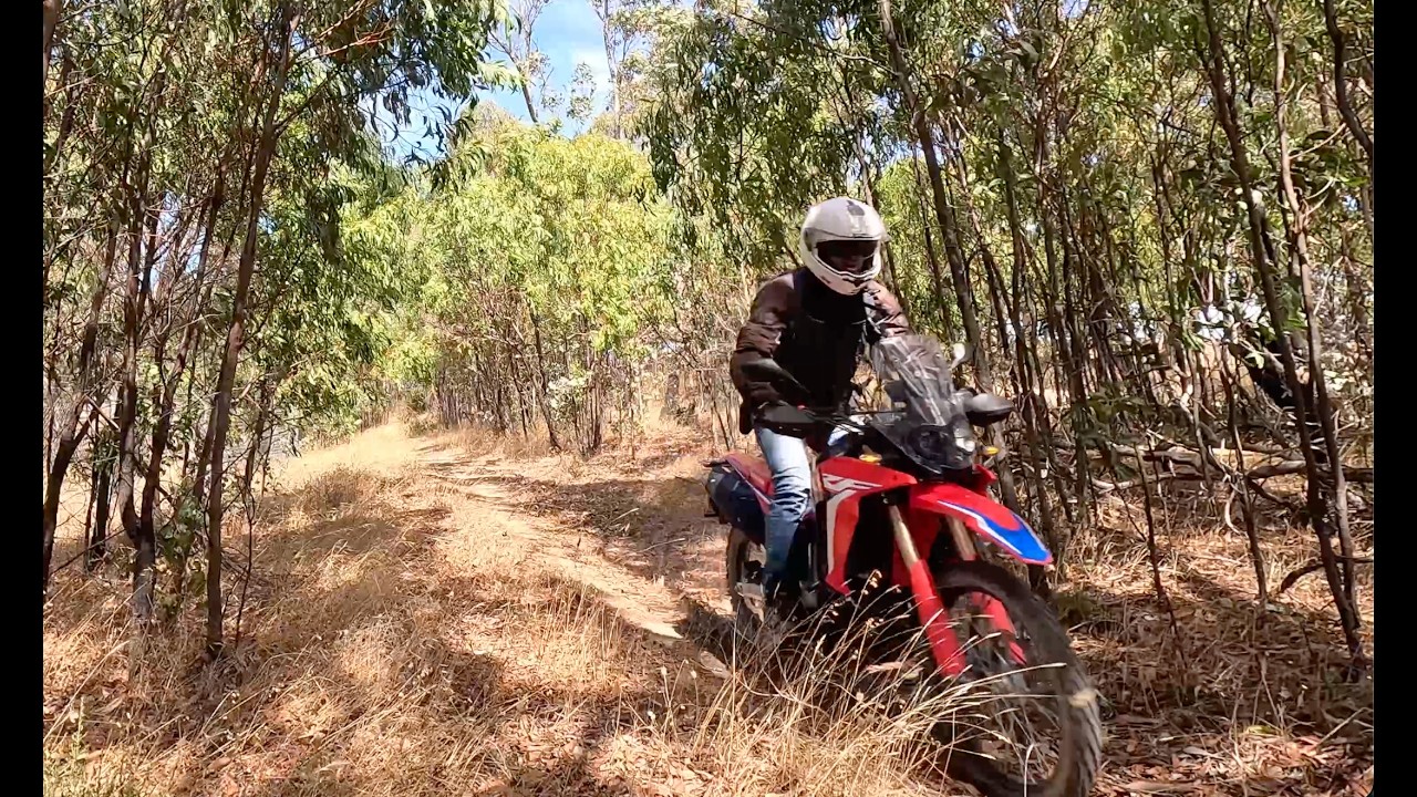 Moto Single Track and Gravel Ride Adelaide, South Australia
