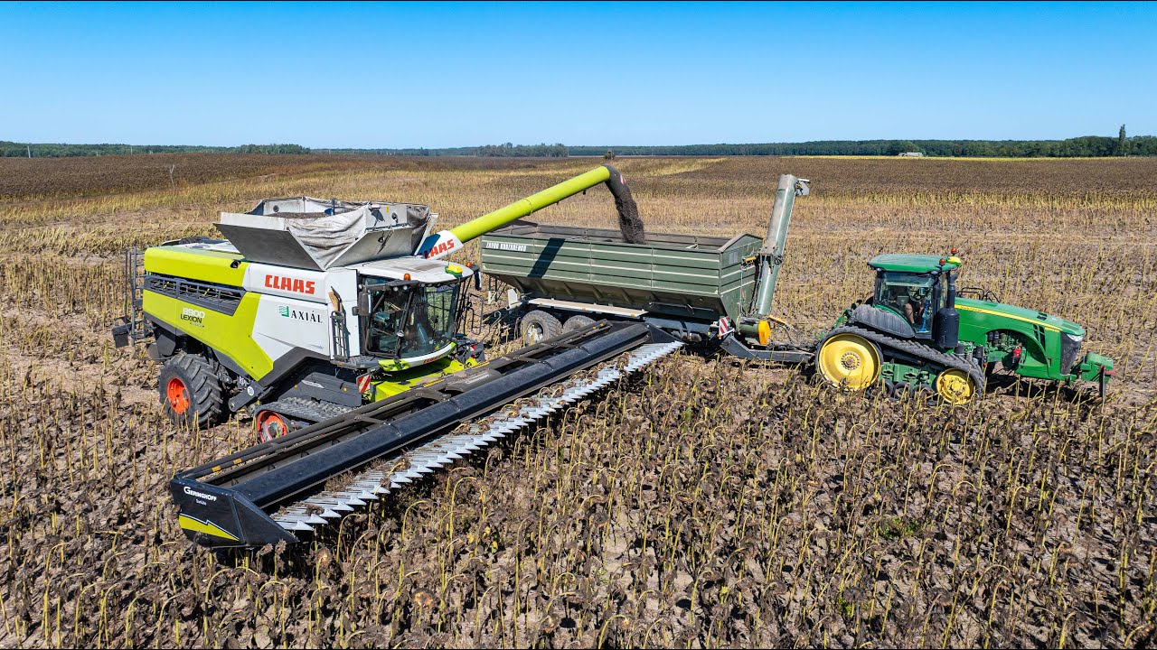 Napraforg&oacute; arat&aacute;s 🌻 Claas Lexion 8900 + Geringhoff SL40 - a 12 m&eacute;teres hekt&aacute;rfal&oacute;