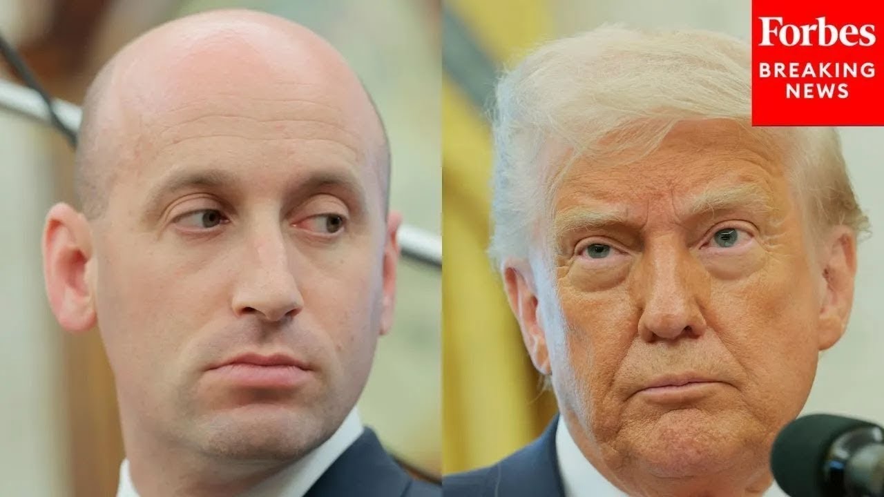 &laquo;Эта страна умрёт без вас&raquo;: Стивен Миллер осыпает Трампа похвалами