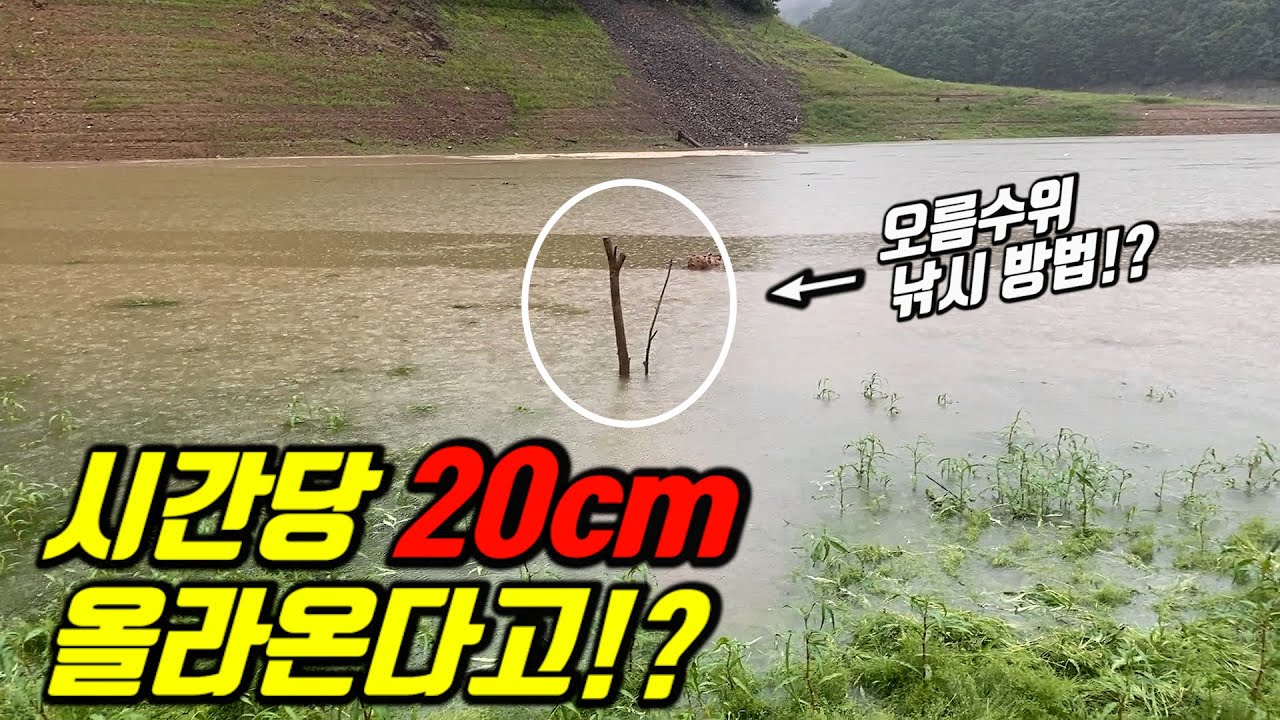 200mm Heavy rain!! when water level rises Have you ever tried fishing?
