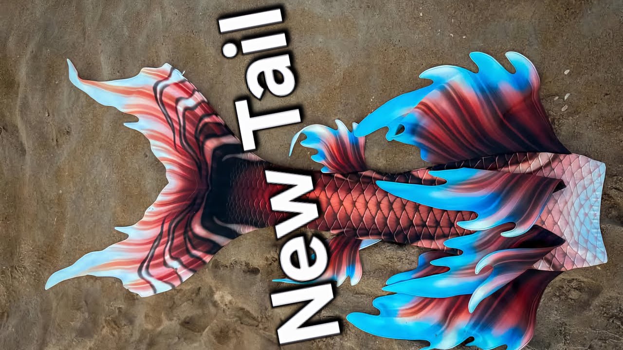 Unboxing a ✨New✨ Mertailor Mermaid Tail