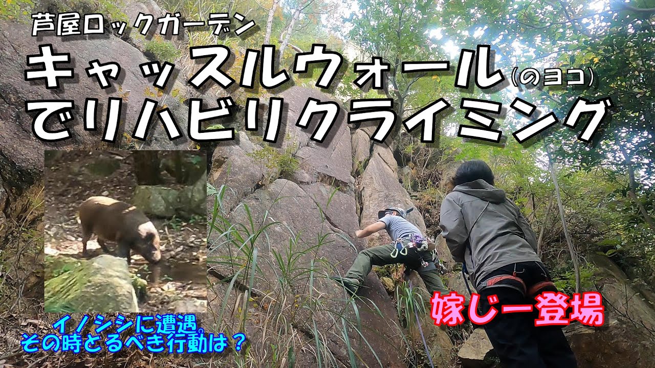 【岩】キャッスルウォールのヨコでリハビリクライミング