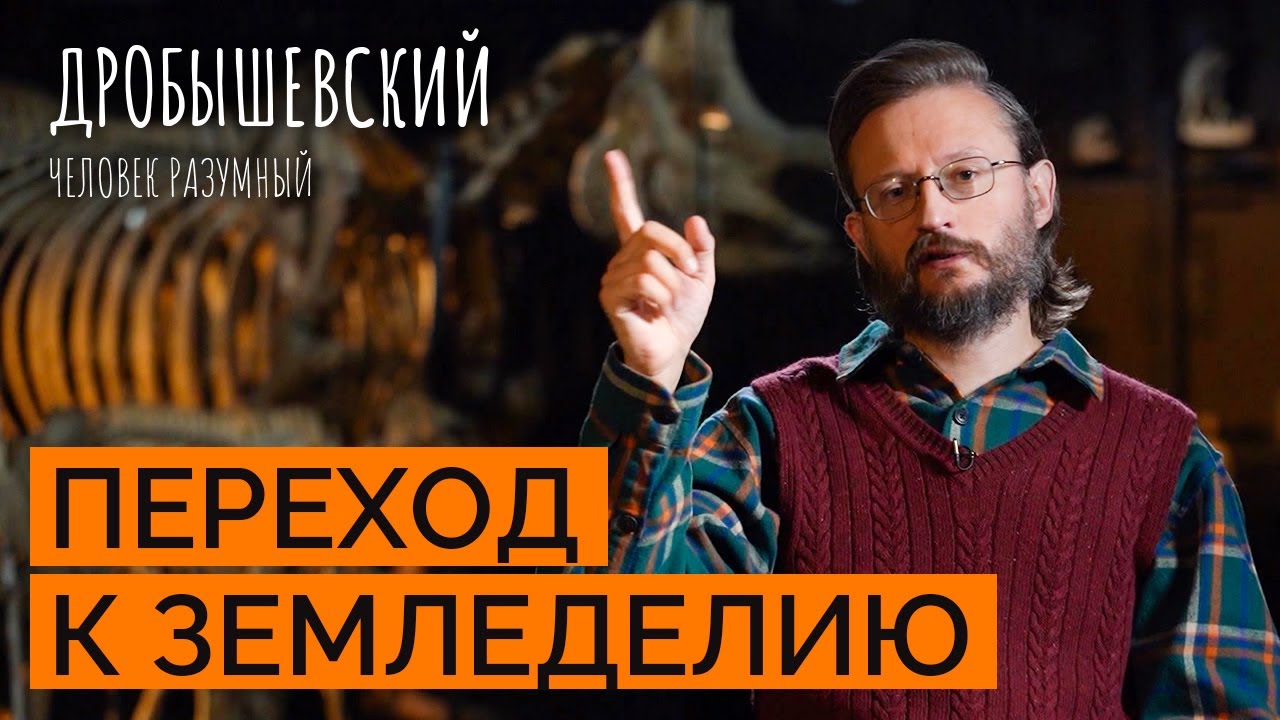 Как возникло сельское хозяйство и земледелие? // Дробышевский. Человек разумный