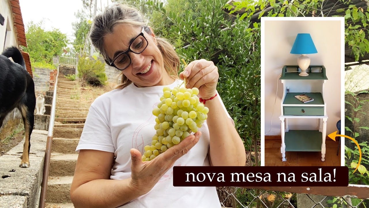 Já temos uvas! | Veja também as novidades na sala | vlog no interior de Portugal🏡🇵🇹