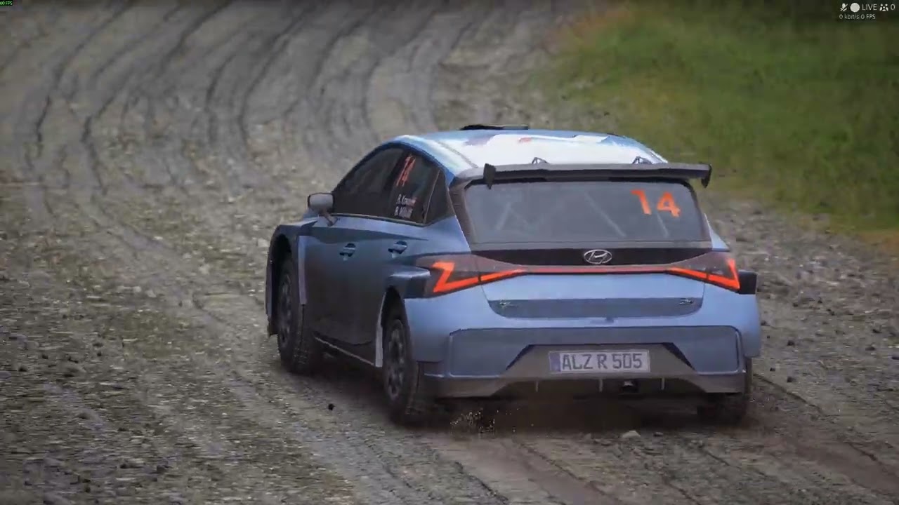 Assetto Corsa Rally Wales Replaycam