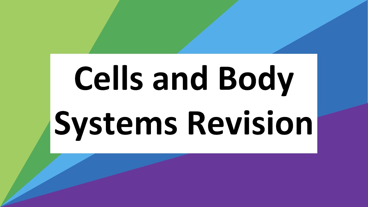 Year 8 Cells and Body Systems Revision