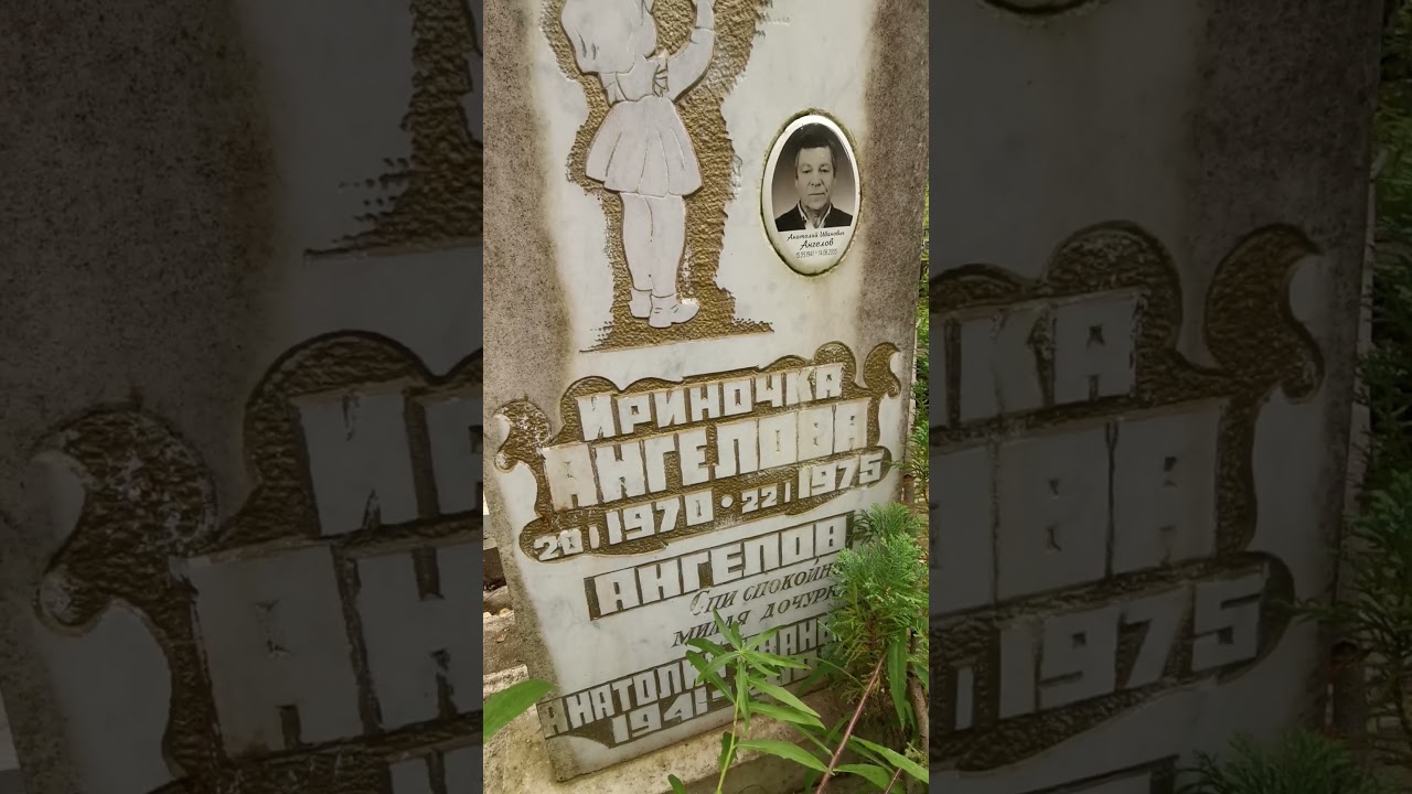 Здесь Ангеловы. #shorts