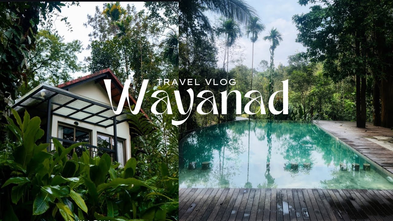 Bangalore to Wayanad | Property tour of Willow Resorts | No entry at Karapuzha Dam 