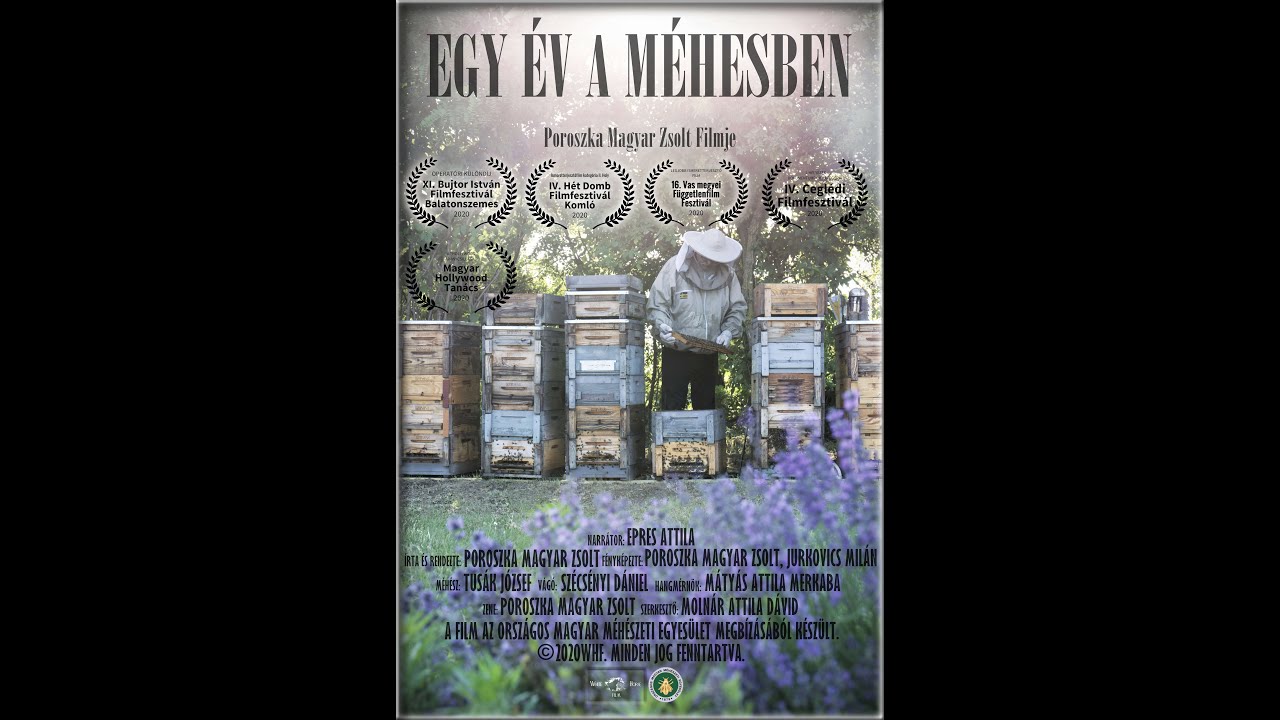 EGY ÉV A MÉHESBEN | Magyar természetfilm