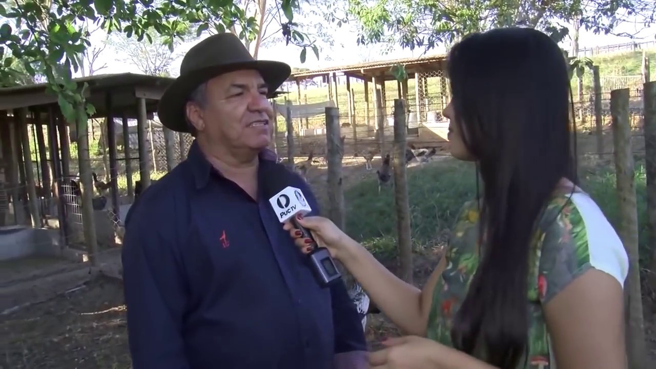 REPORTAGEM COMPLETA  SOBRE INDIO GIGANTE  CH&Aacute;CARA LIBERDADE Whatsapp  55 62 98531-4096