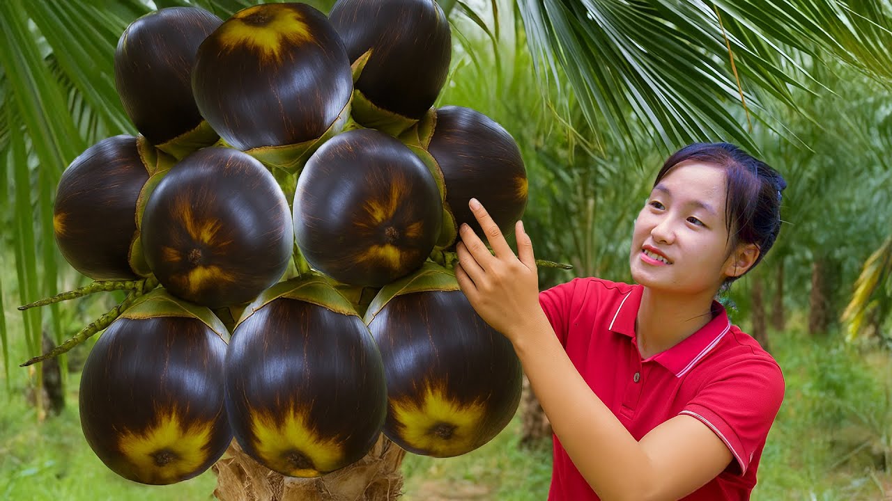 Harvesting 1000+ MUTANT Wild Palm Fruits In the Forest Goes To Market Sell | Make A Swing For Baby