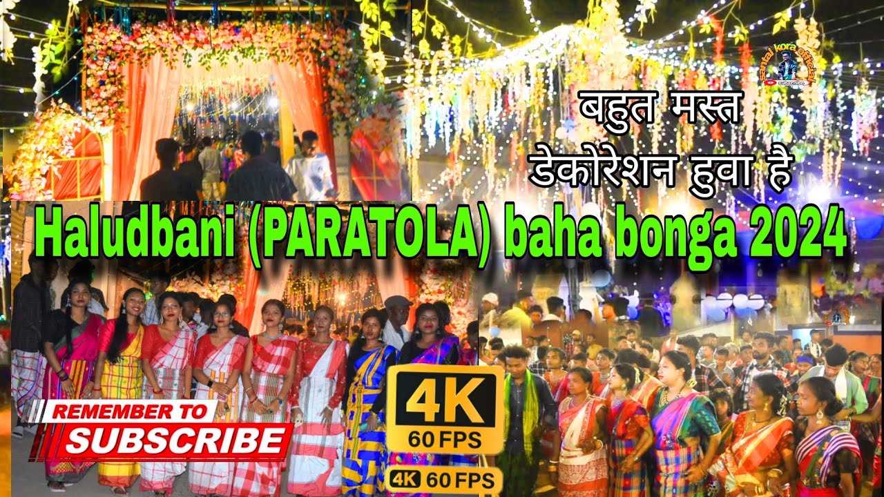 HALUDBANI PARATOLA BAHA 2024 // Haludbani baha bonga enej // Phagun baha bonga 🌺🌺🌺