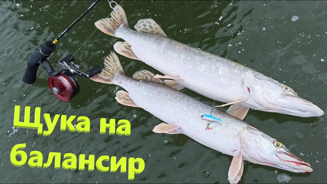 Щука на балансир NORDIC 4 15h.