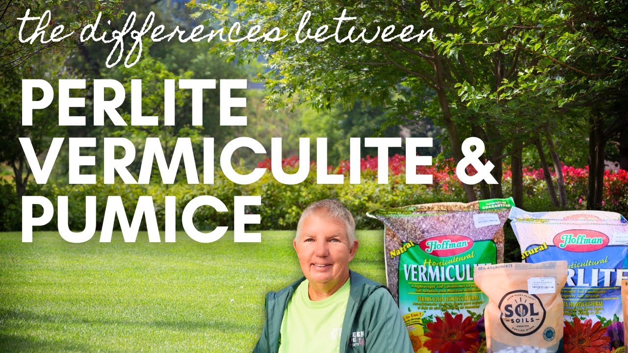The Differences Between Perlite, Vermiculite, and Pumice