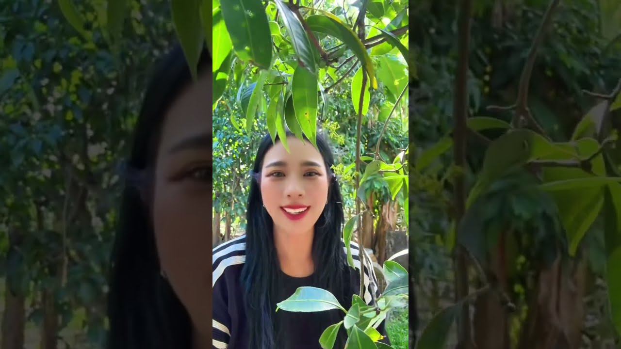 ปัจจัยที่ทำให้ต้นมะยงชิดออกดอกและติดได้ผลค่ะ