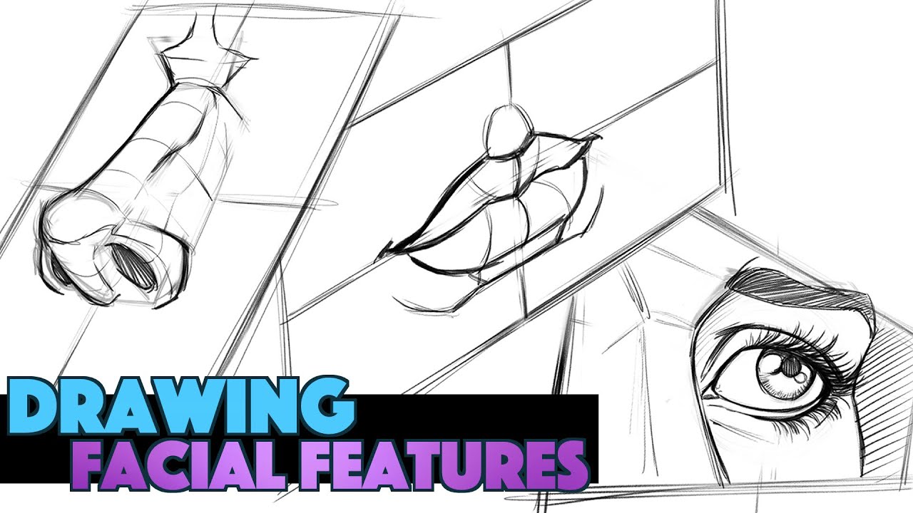 How to Draw Facial Features at Different Angles