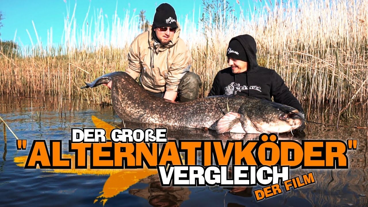 Der große Alternativködervergleich | CATFLORENZ | Waller in Deutschland | Angeln auf Wels | Fluss