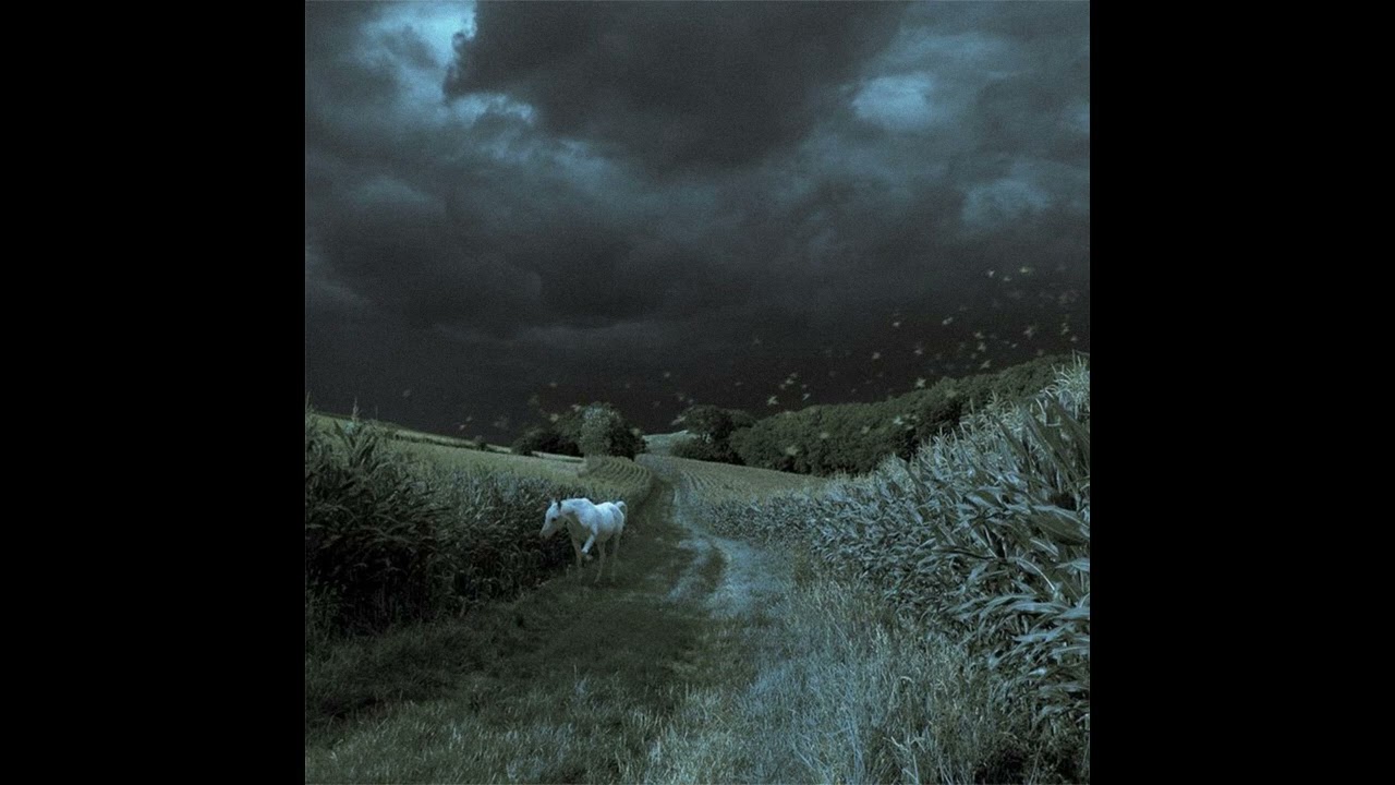 (free) deftones + wisp + novulent + heavy shoegaze type beat - 