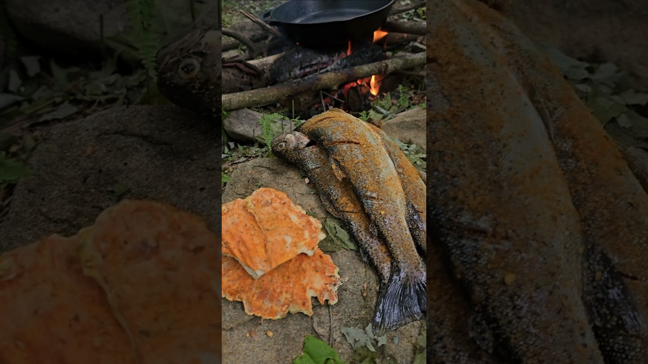 Trout Catch & Cook and Chicken of the Woods with Doug
