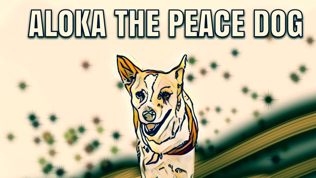 Peace Train