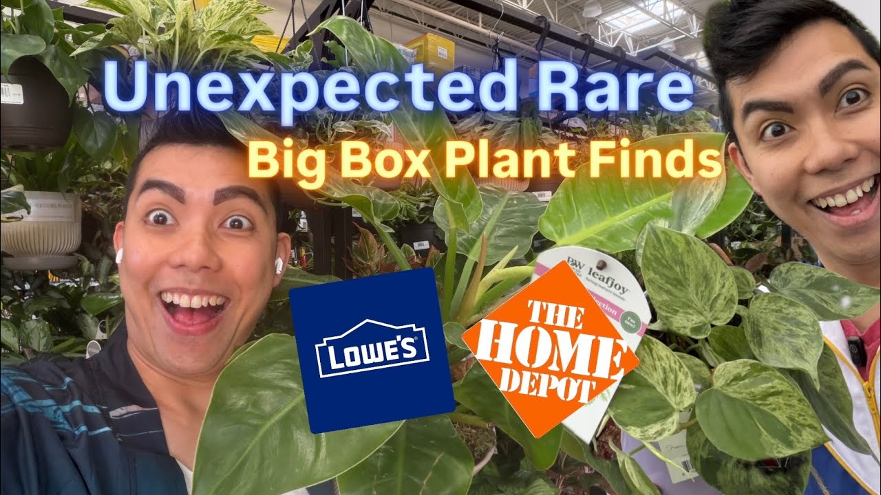 I Found WHAT At Home Depot?! 😱 Big Box Store Plant Hunting A Compilation of Shopping for Plants