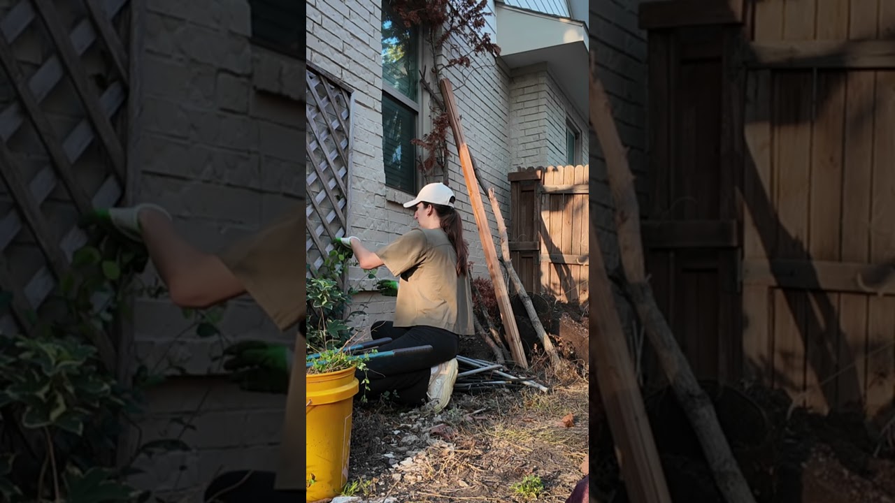 it&rsquo;s finally starting to look back to normal 😌