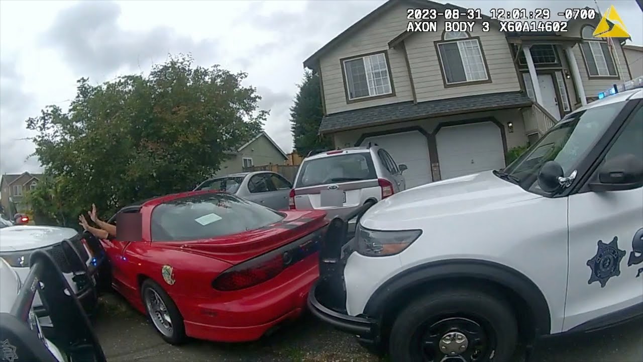 Deputies Pursue Firebird from Air and Ground