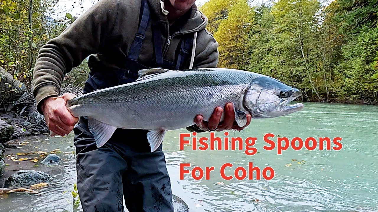 Fishing Spoons For Coho Salmon On The River