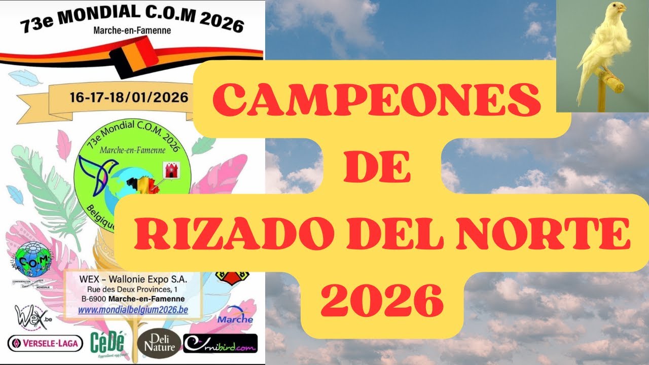 MUNDIAL RIZADO DEL NORTE (CAMPEONES).
