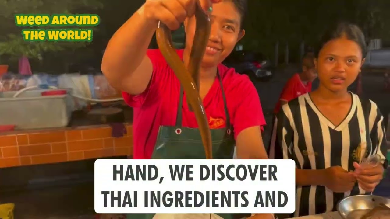 Eel Ganja Curry Cannabis in Thailand Marijuana Weed in Thailand