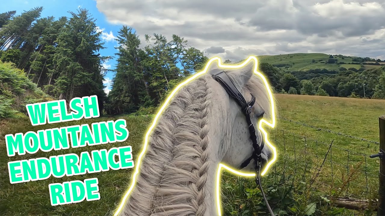 HORSE RIDING ON WELSH MOUNTAINS | POV Ride With Me